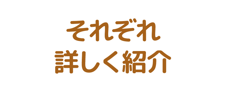 それぞれ詳しく紹介